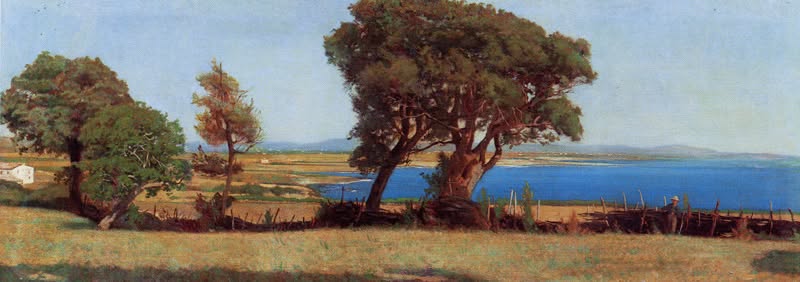Raffaello Sernesi - Marina di Castiglioncello